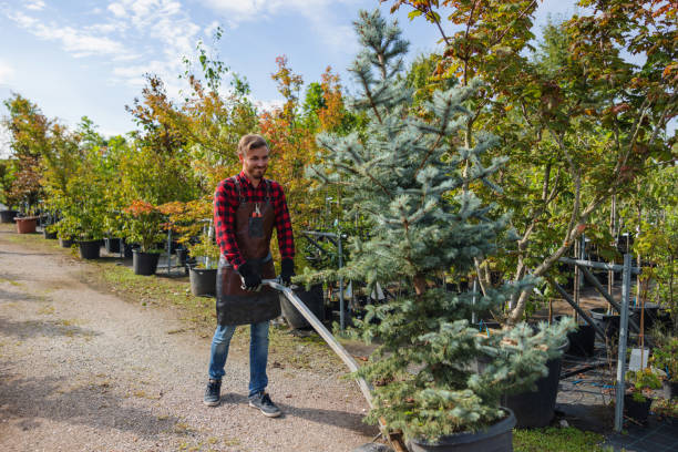 Best Fruit Tree Pruning  in Strasburg, OH